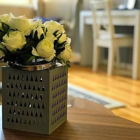 Virtudes Lofts