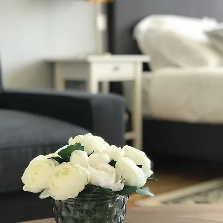 Virtudes Lofts 4* Порту